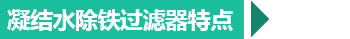 西安凝結(jié)水除鐵過濾器特點